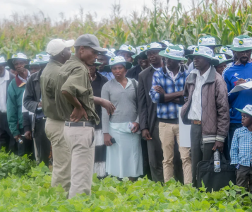 2018 Field Visit Zimbabwe 3