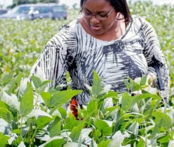 Dr. Grace Kaudzu for IWD