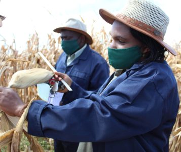 Lake Ag Late Stage Crop Inspection_May 11 2020