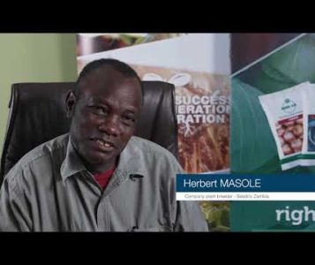 hqdefaultBusiness case for seed producers