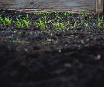 markus-spiske-71uUjIt3cIs-unsplash (2)