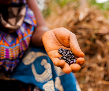 seeds in hand