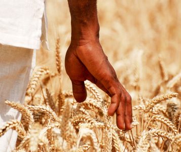 shutterstock_73058101